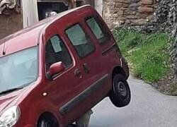 Enlace a Usando el gato