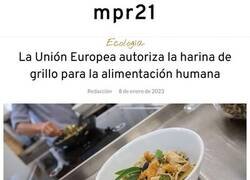 Enlace a Nuevo plato en el menú