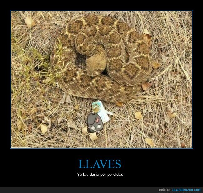 serpiente,llaves,wtf