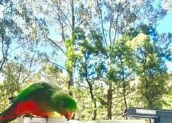 Enlace a Un libro interesante