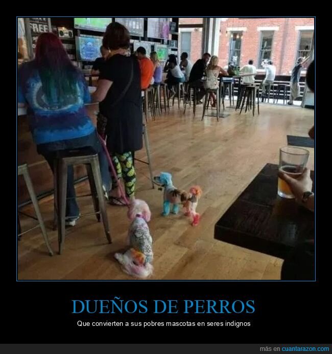 perros,pintados,wtf