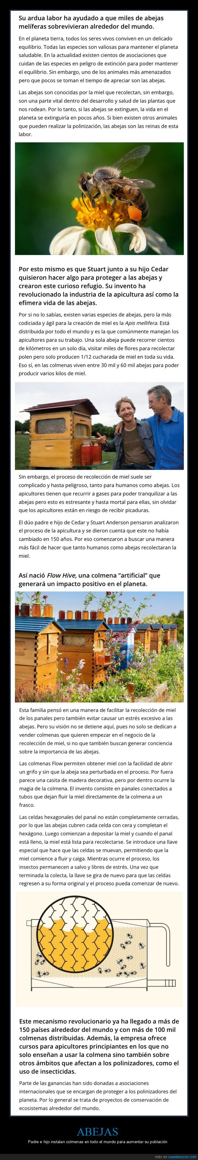 padre,hijo,colmenas,abejas