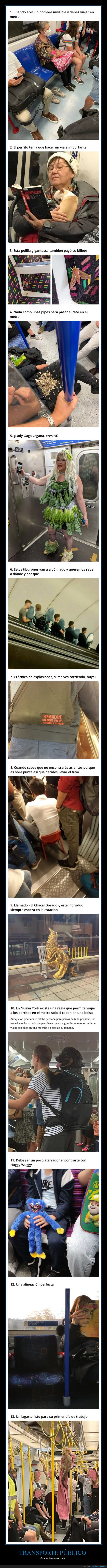 transporte público,wtf