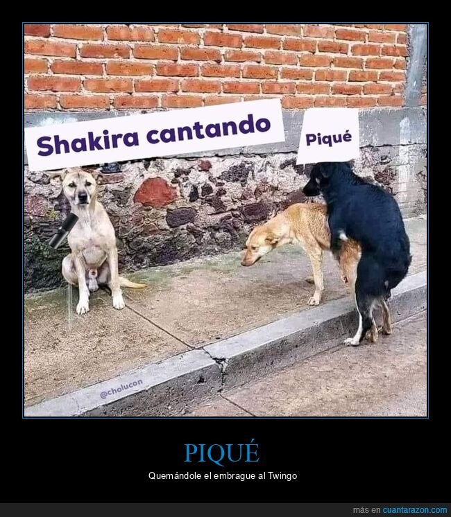 shakira,cantando,piqué,perros