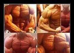 Enlace a Apariencia de fruto seco