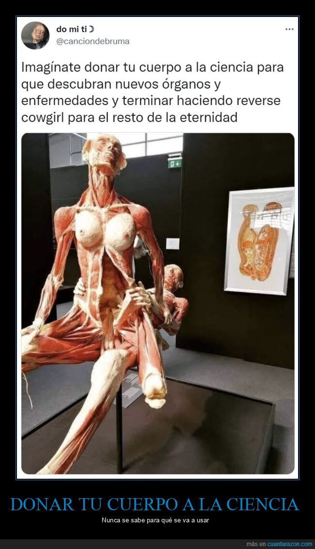 donar,cuerpo,ciencia,wtf