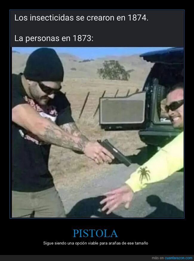 araña,insecticida,pistola,wtf