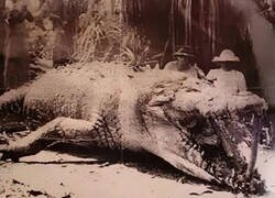 Enlace a Un dinosaurio...