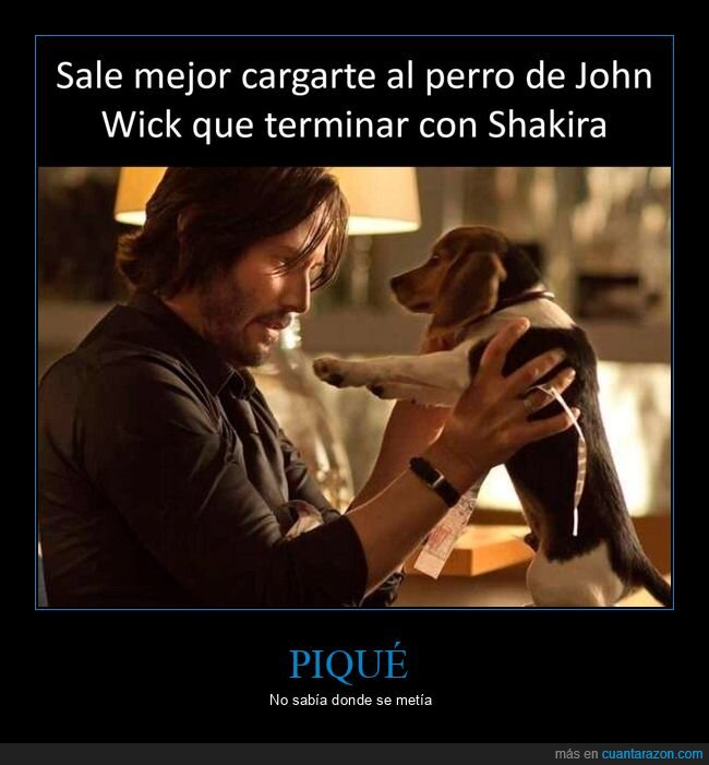 john wick,perro,piqué,shakira