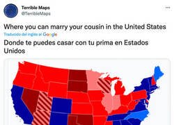 Enlace a ¿Eres de Springfield o de Shelbyville?