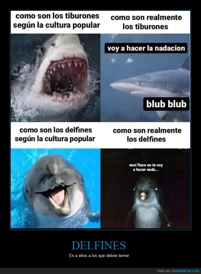 cultura popular,delfines,realidad,tiburones