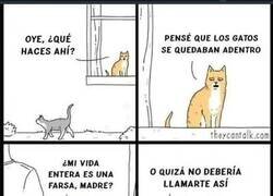 Enlace a Descubriendo la verdad