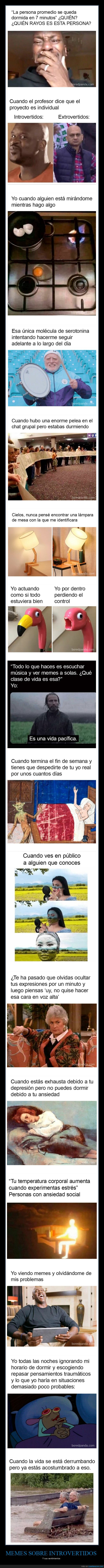 memes,introvertidos,sentimientos