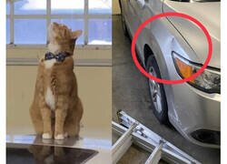 Enlace a Personas que son la perfecta definición de tener un mal día