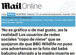 Enlace a La naturaleza es demasiado para ellos...