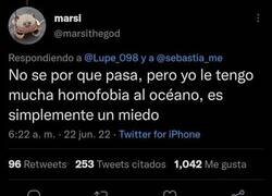 Enlace a Nadie le comprende...