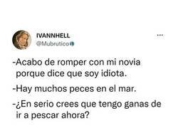 Enlace a Motivos para la ruptura