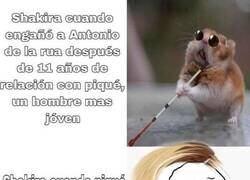 Enlace a Vaya, vaya...