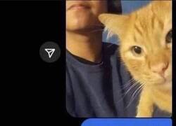 Enlace a Menos mal que lo ha aclarado...