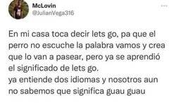 Enlace a Perro políglota