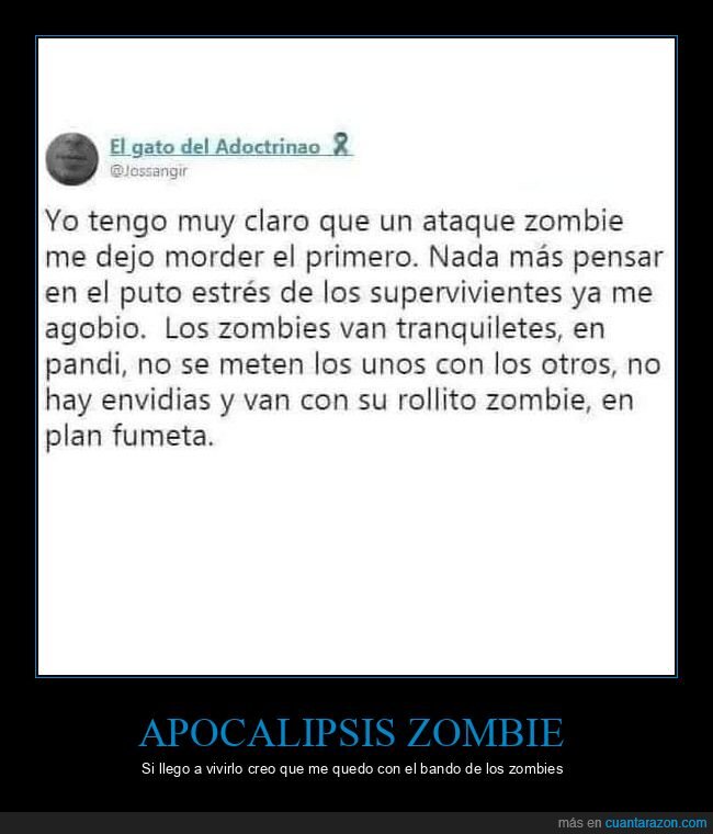 zombies,morder,dejarse,supervivientes,estrés