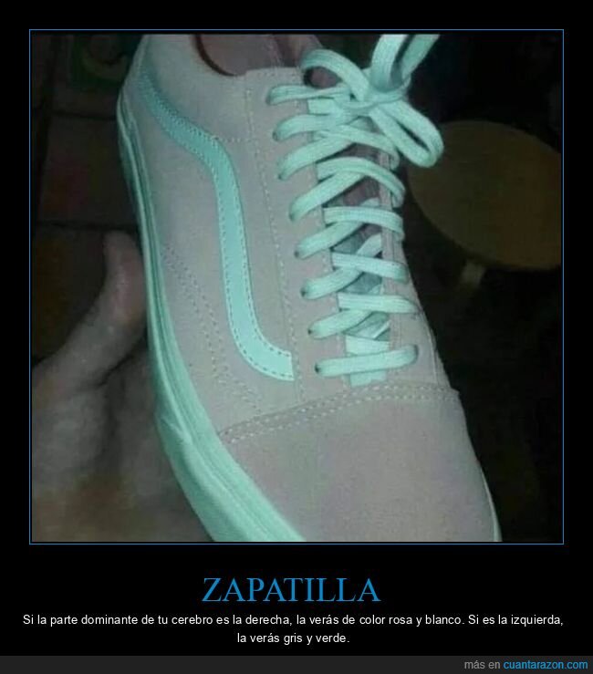 zapatilla,colores,cerebro
