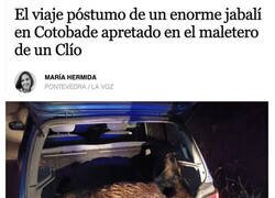 Enlace a Conductor desconfiado