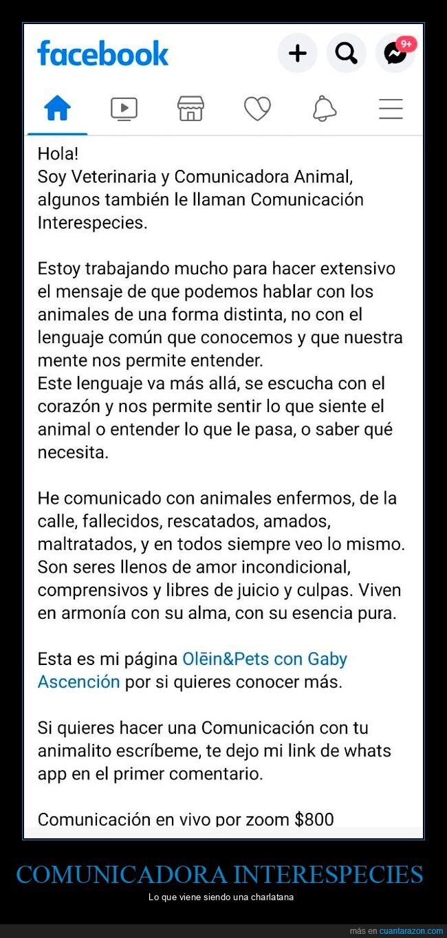 comunicadora interespecies,wtf