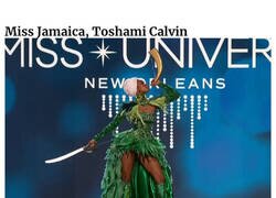 Enlace a Concursantes de Miss Universo luciendo inspirados trajes nacionales de fantasía