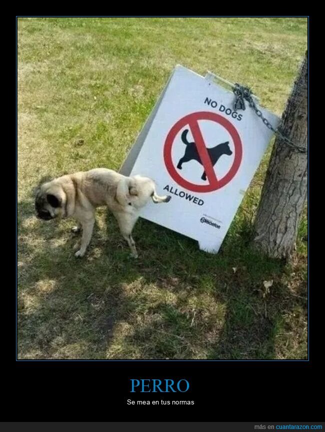 carteles,meando,perros,prohibición