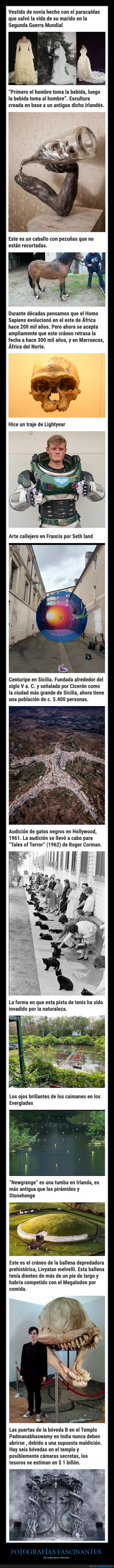 fotografías fascinantes,cosas poco comunes,curiosidades