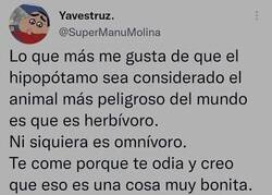 Enlace a El animal más peligroso