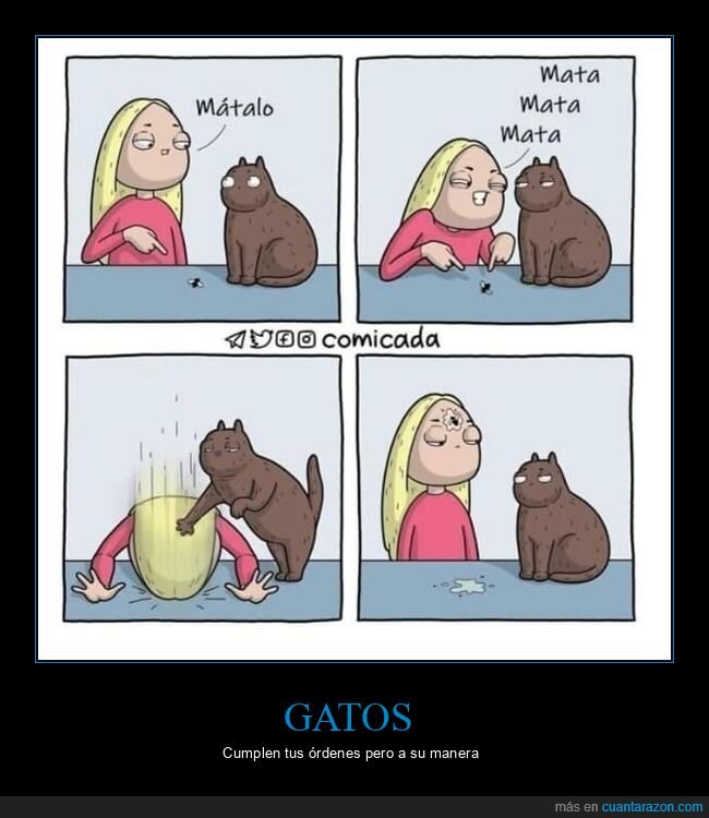 gato,bicho,matar