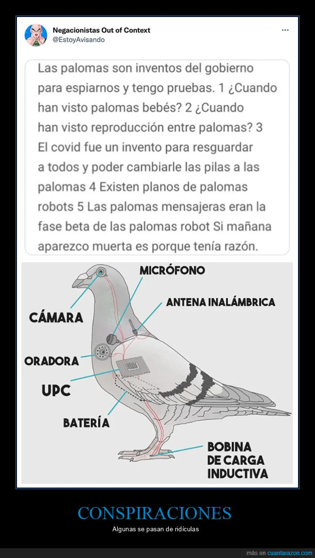 palomas,conspiranoicos