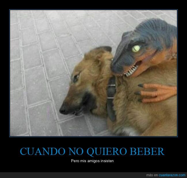 beber,amigos,perro,dinosaurio
