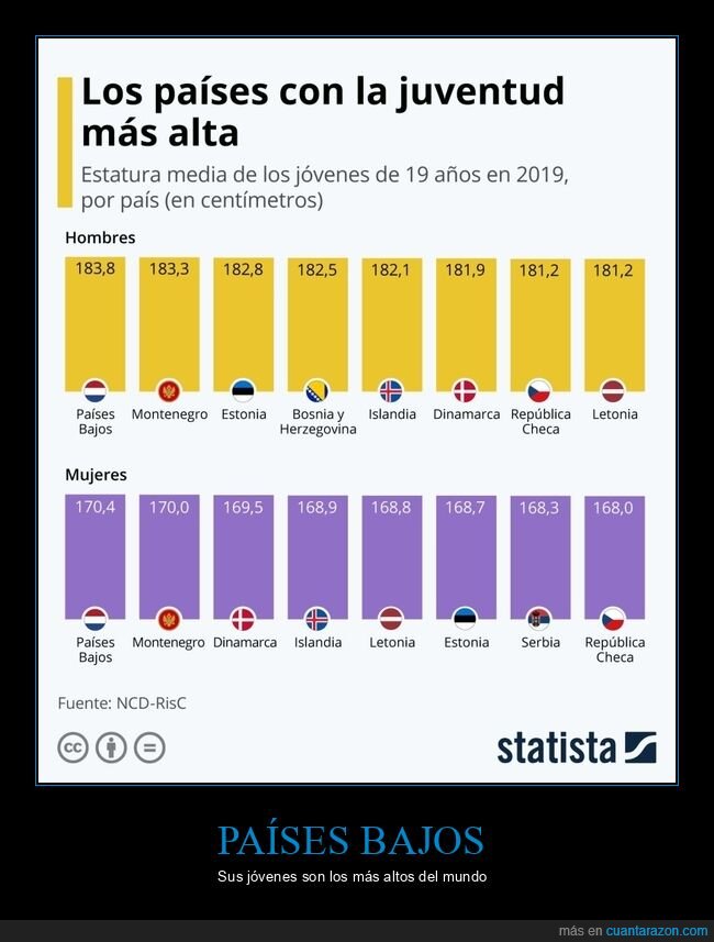 países bajos,jóvenes,altos