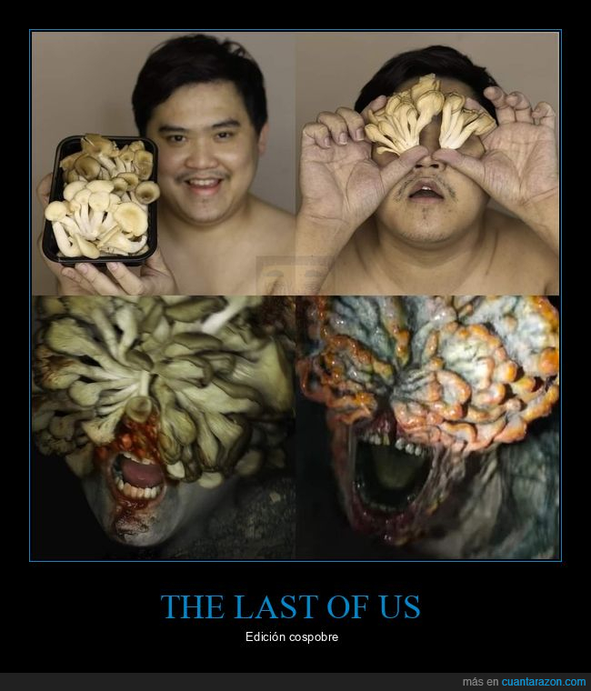 cospobre,the last of us,setas