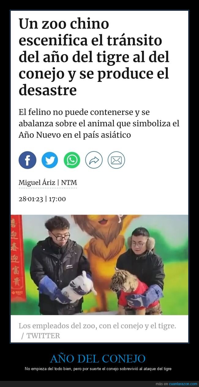 año del conejo,zoo,china,tigre,conejo,fails