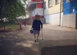 Enlace a Escondiéndose de sus enemigos