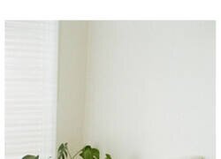 Enlace a Mujeres revelan qué cosas del apartamento de un chico son para ellas señales de alarma