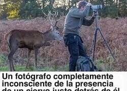 Enlace a El observador observado