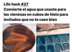 Enlace a Consejos malévolos