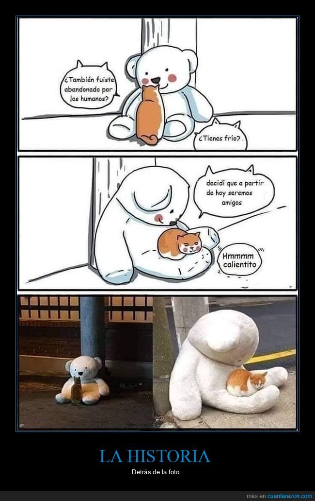 gato,peluche,abandonado