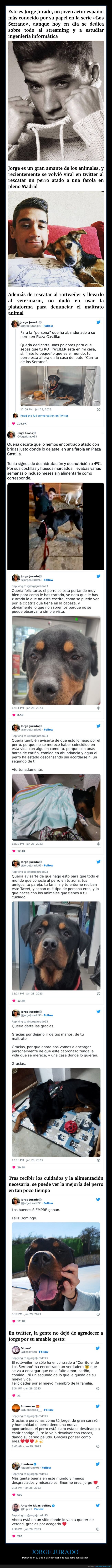 jorge jurado,perro,abandonado