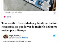 Enlace a Este actor rescató a un rottweiler maltratado atado a una farola y luego acudió a Twitter a denunciar al anterior dueño