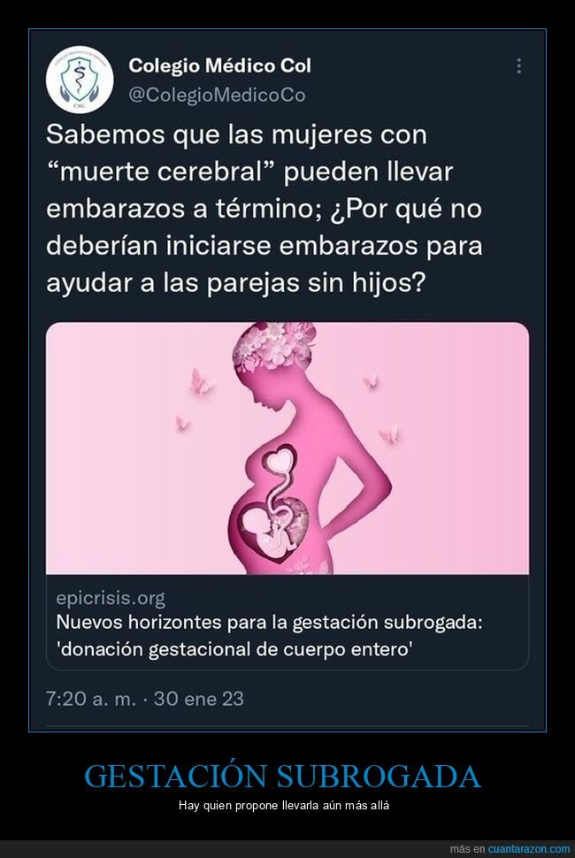 muerte cerebral,embarazos,gestación subrogada