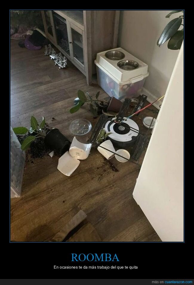 roomba,fails