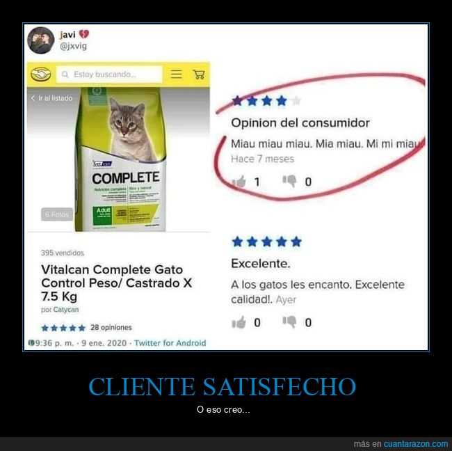 rese&ntilde;a,gato,maullidos