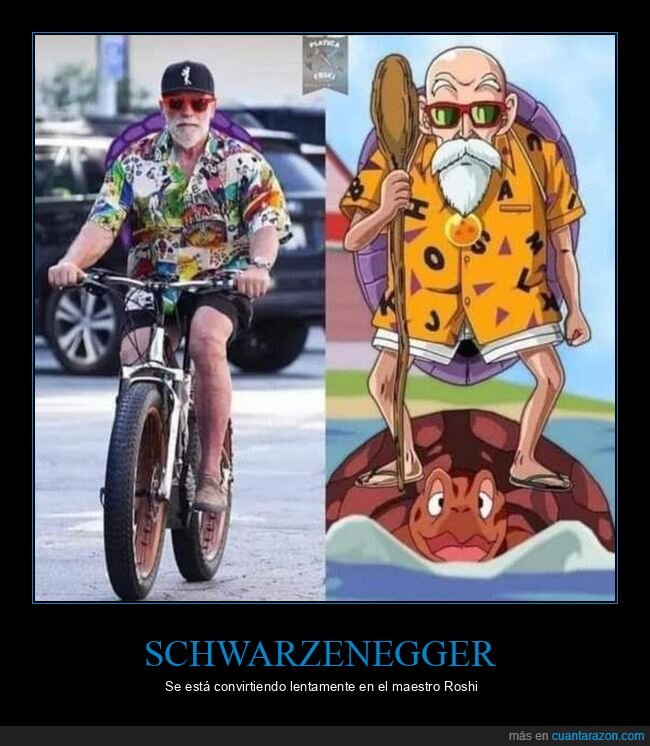schwarzenegger,dragon ball,parecidos