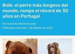 Enlace a Una edad de récord